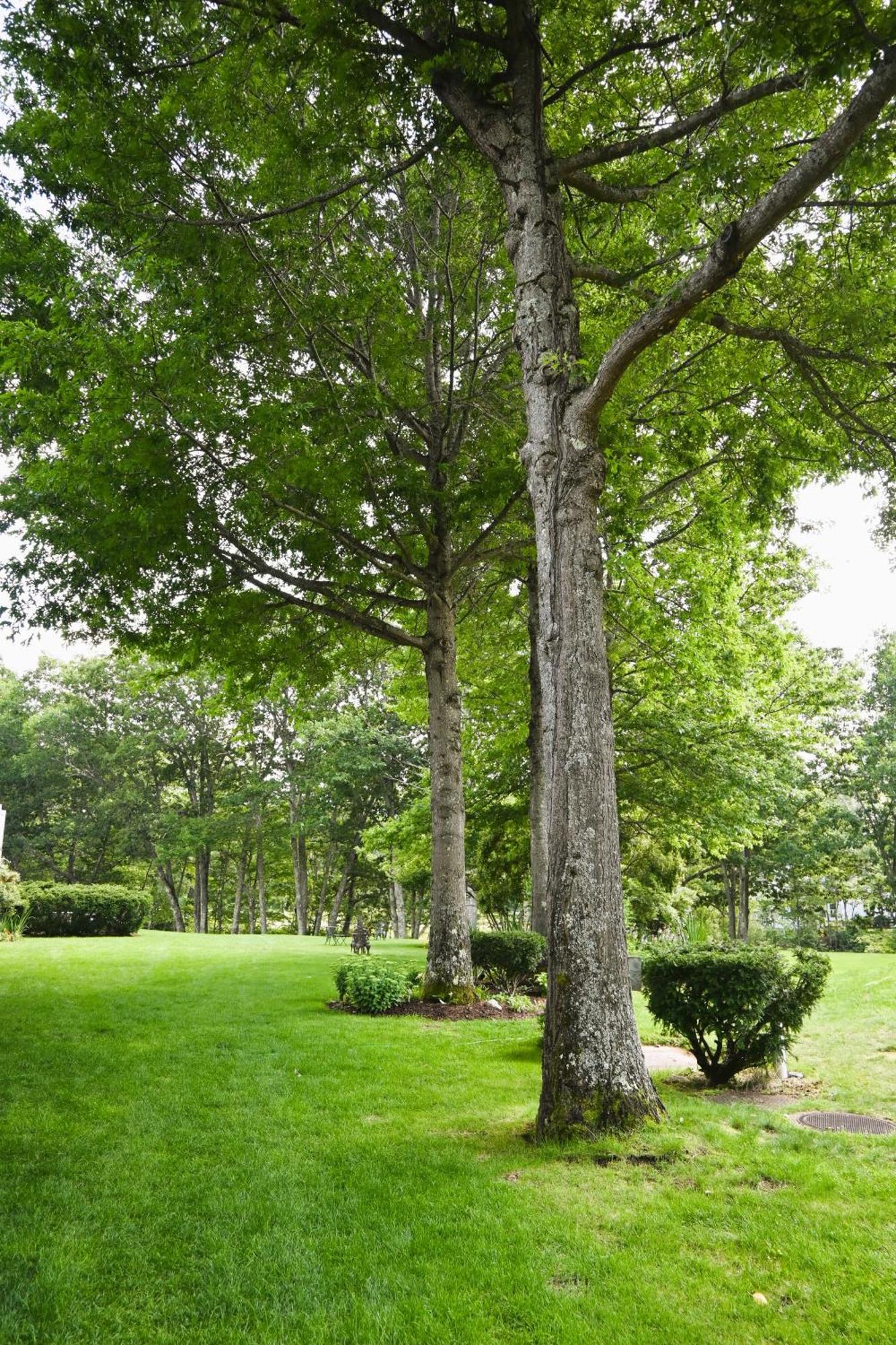The Lodge At Jackson Village Exterior photo